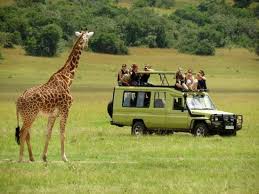 12 Days Uganda Safari
